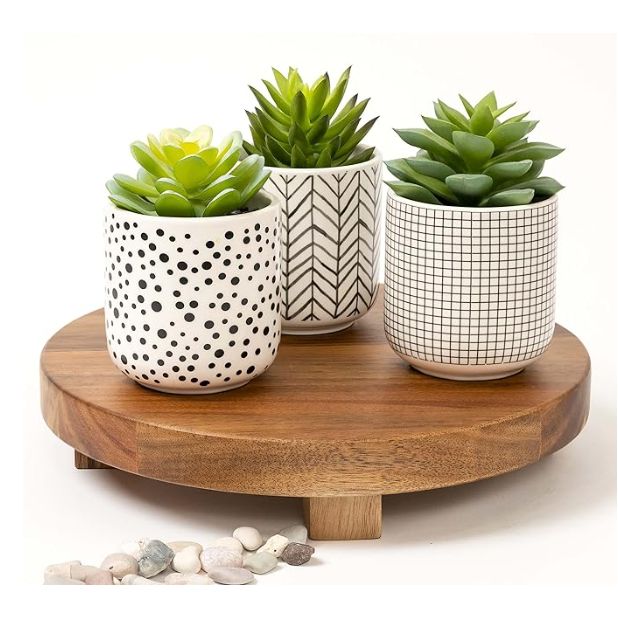Kurrajong Farmhouse Artificial Succulents In Pots | Set Of 3 Black And White Pots With Succulents | Faux Plants Indoor | Fake Plants For Desk Decor | 4.75" High Faux Succulents In Pots : Home & Kitchen