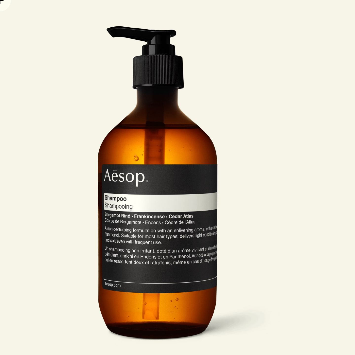 Shampoo