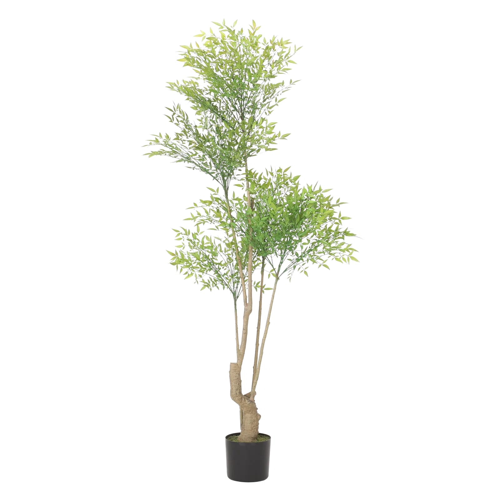 70.9'' Faux Eucalyptus Tree in Planter
