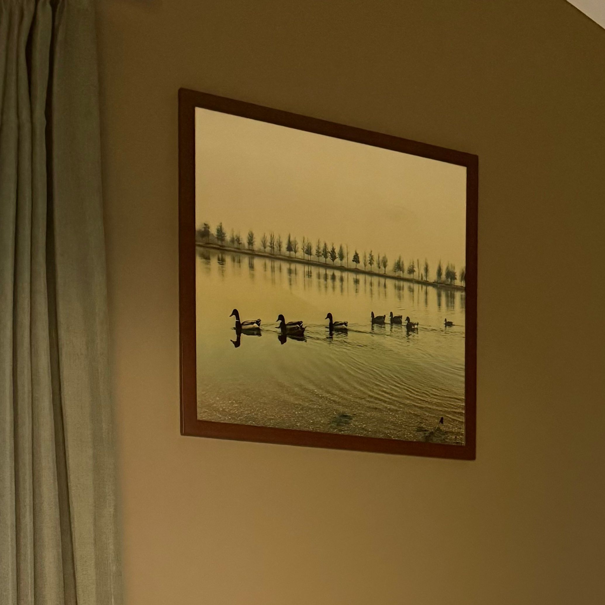 Ducks On The Lake Printable Wall Art