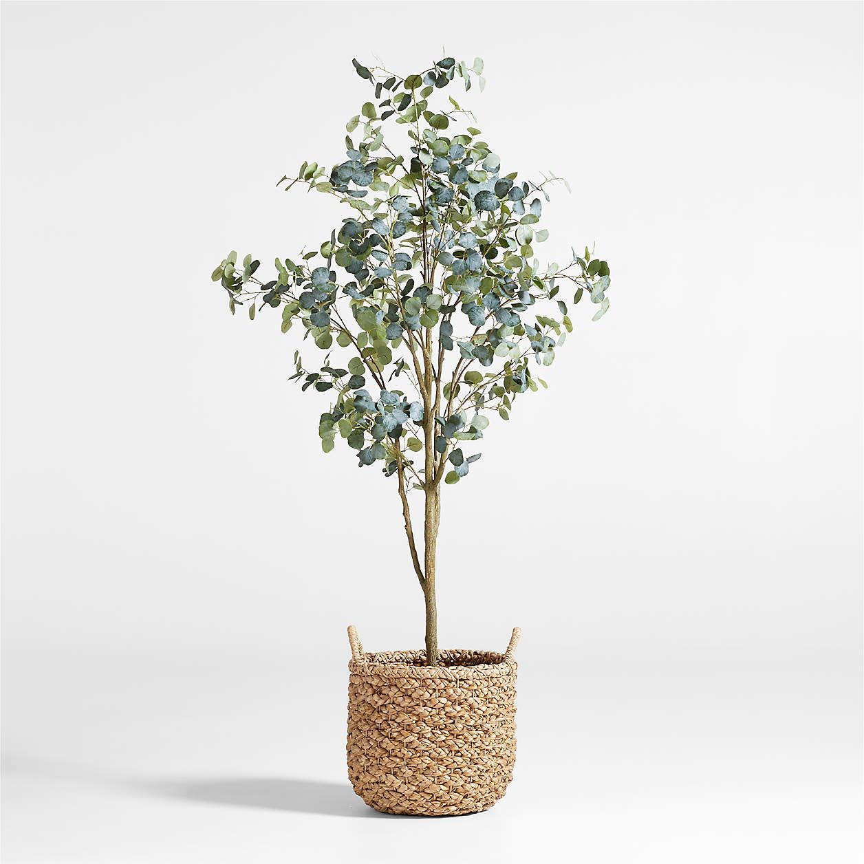 Faux Silver Dollar Eucalyptus Tree