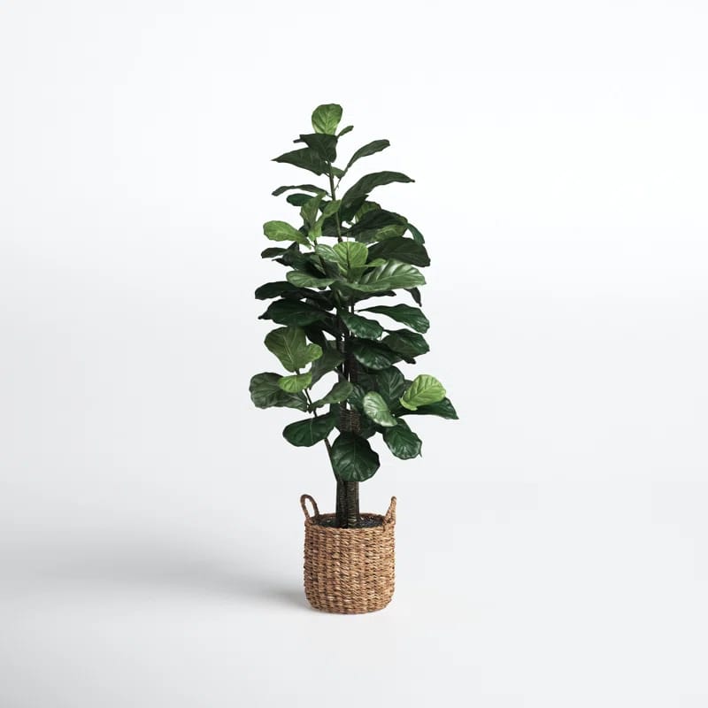 66'' Faux Fiddle Leaf Fig Tree in Wicker/Rattan Basket