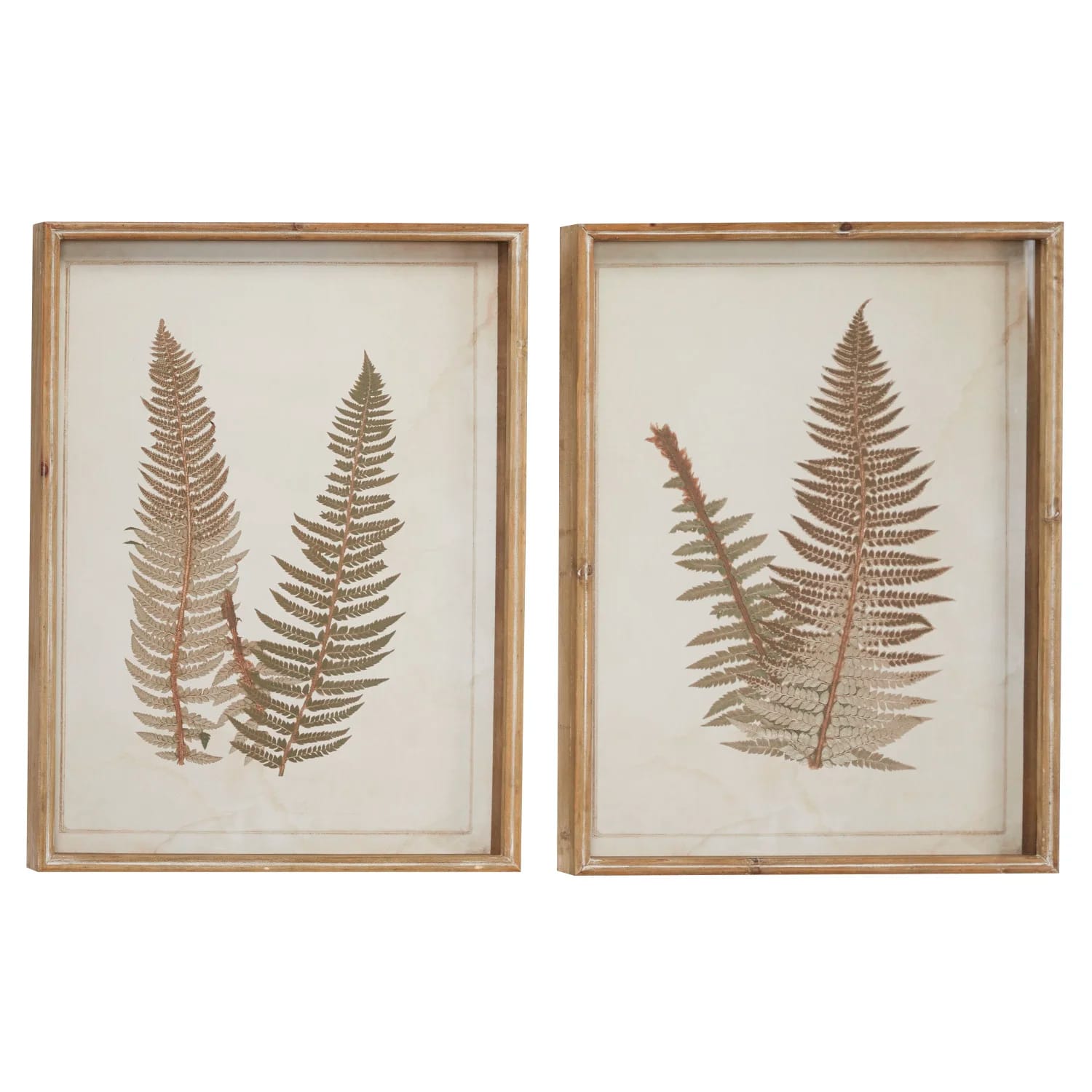 Large Vintage Fern Illustrations - 2 Piece Picture Frame Graphic Art Set on Wood