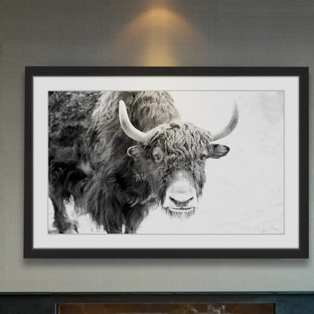 'Buffalo Forward' Framed Print on Paper