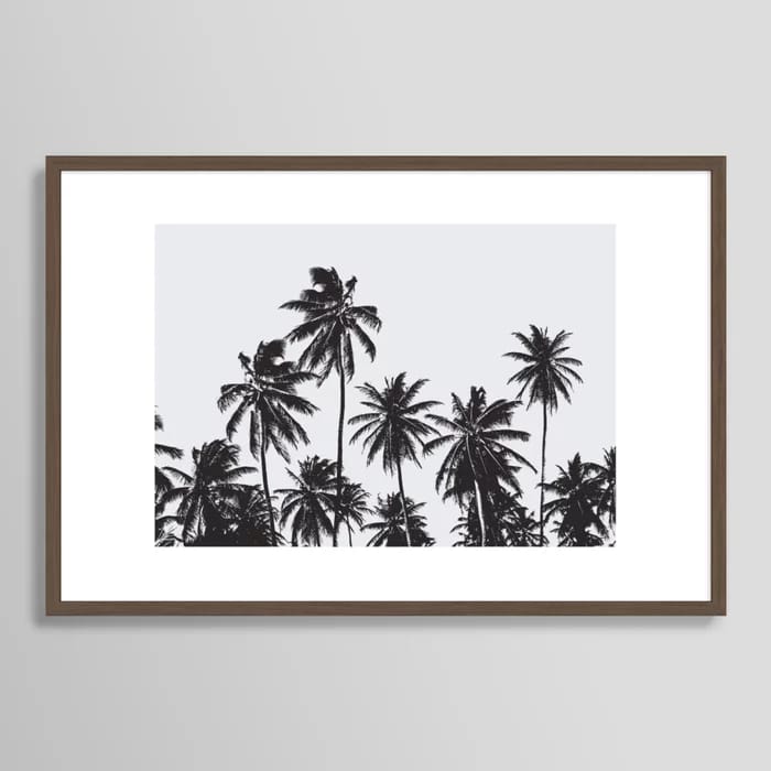 Palm 05 Art Print