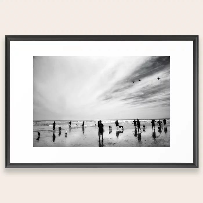 Dog Beach Art Print