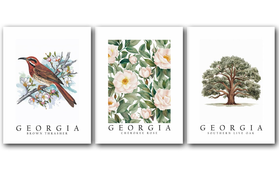 Georgia State Bird Brown Thrasher, State Tree Southern Live Oak, State Flower Cherokee Rose, Set of 3 Poster Prints, Wall Art home Décor