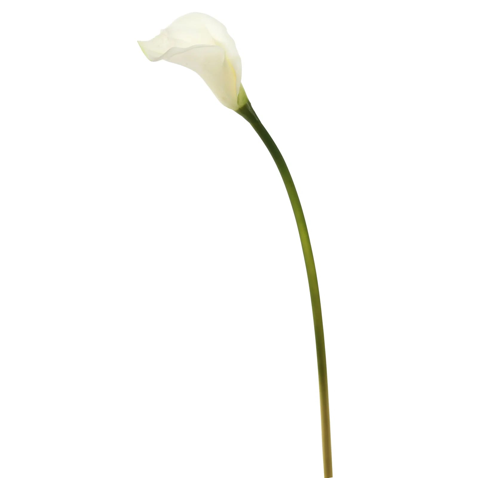 26" Artificial Calla Lily Stem
