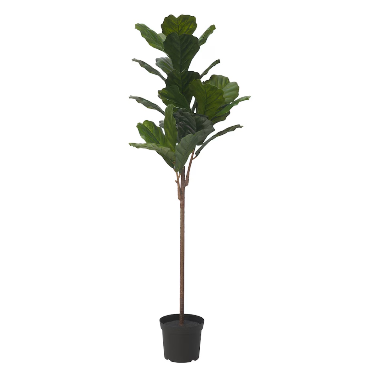 FEJKA Artificial potted plant, indoor/outdoor fiddle-leaf fig, 7 ½ "