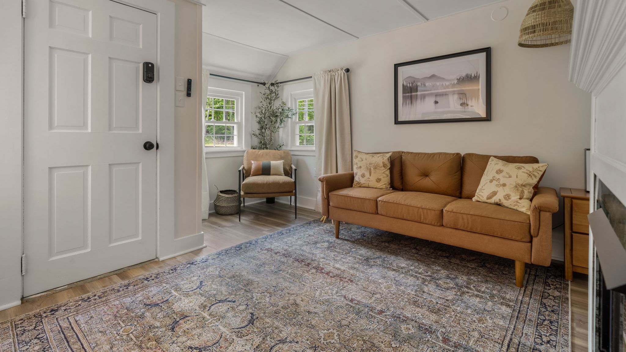 Area Rugs