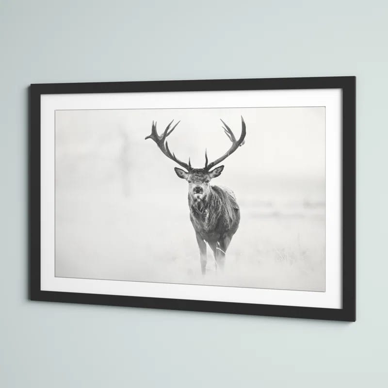 " Elk Stare " by Marmont Hill