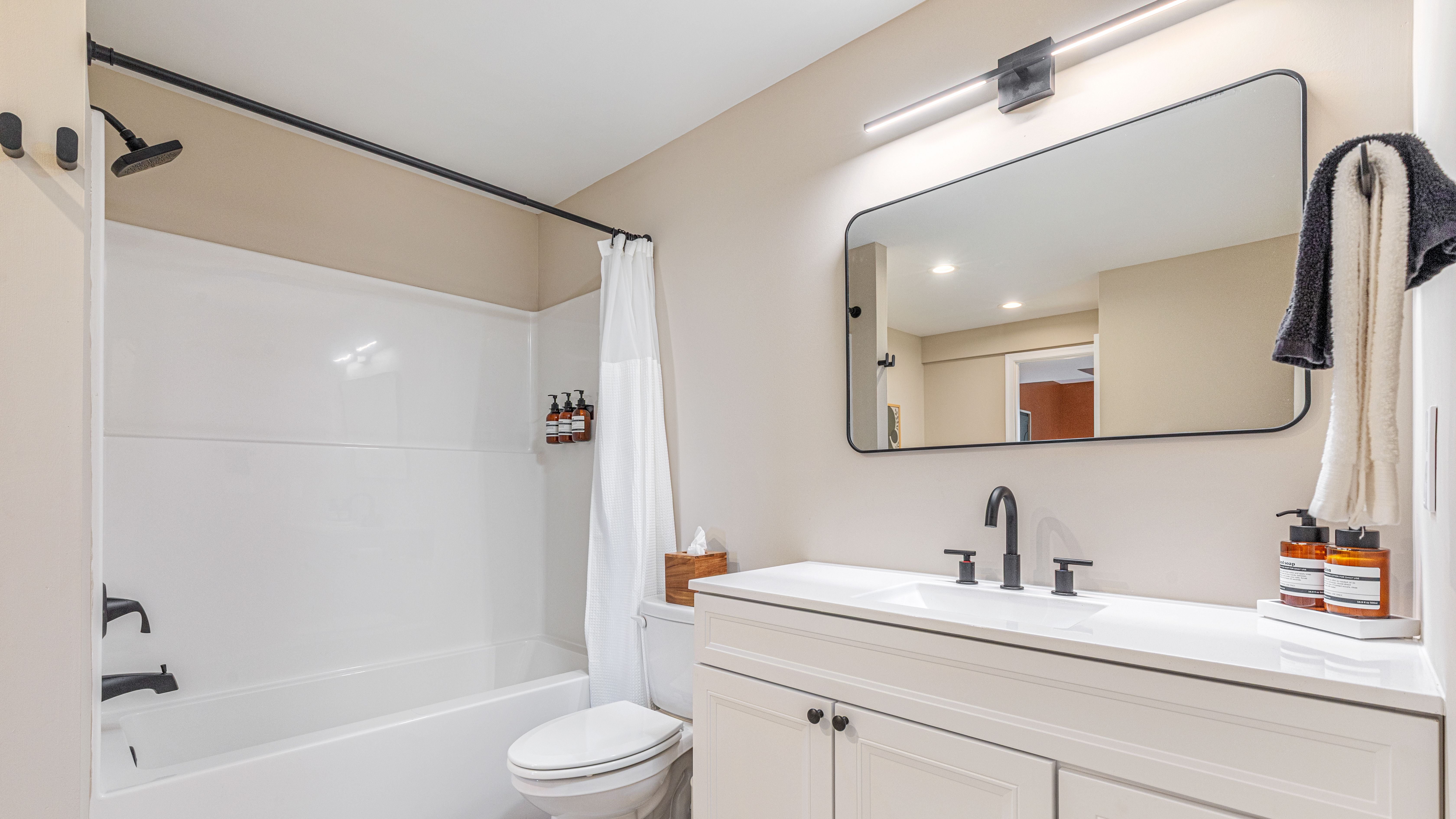 Lower Level Bathroom