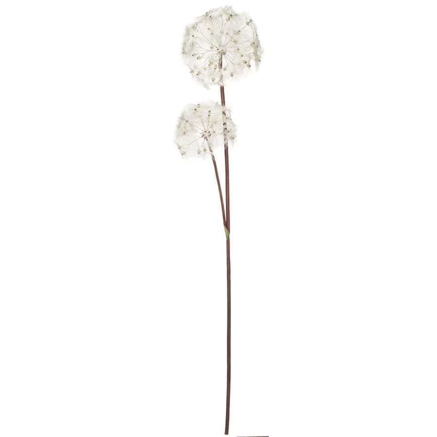 Kanode Dandelion Arrangement