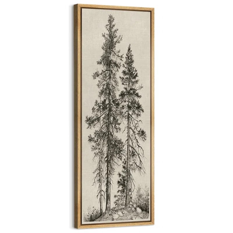 Vintage Pine Tree Drawing Classic Country Rustic Artwork - Extra Large Framed Wall Art Canvas Print