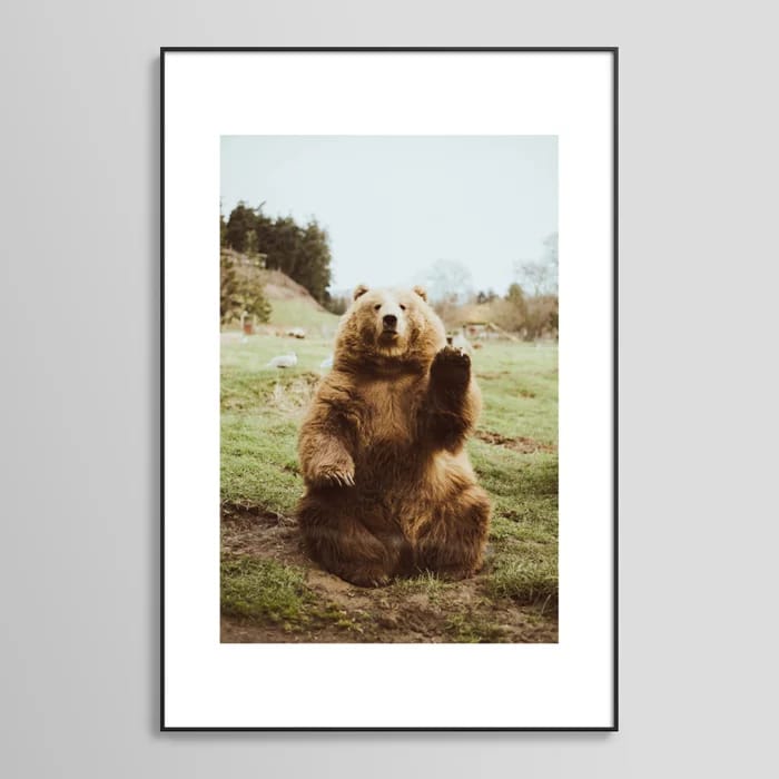 Hi Bear Framed Art Print
