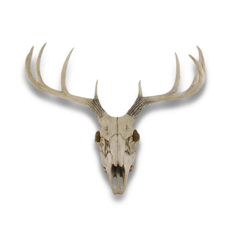 Rustic Animals Wall Decor on Resin