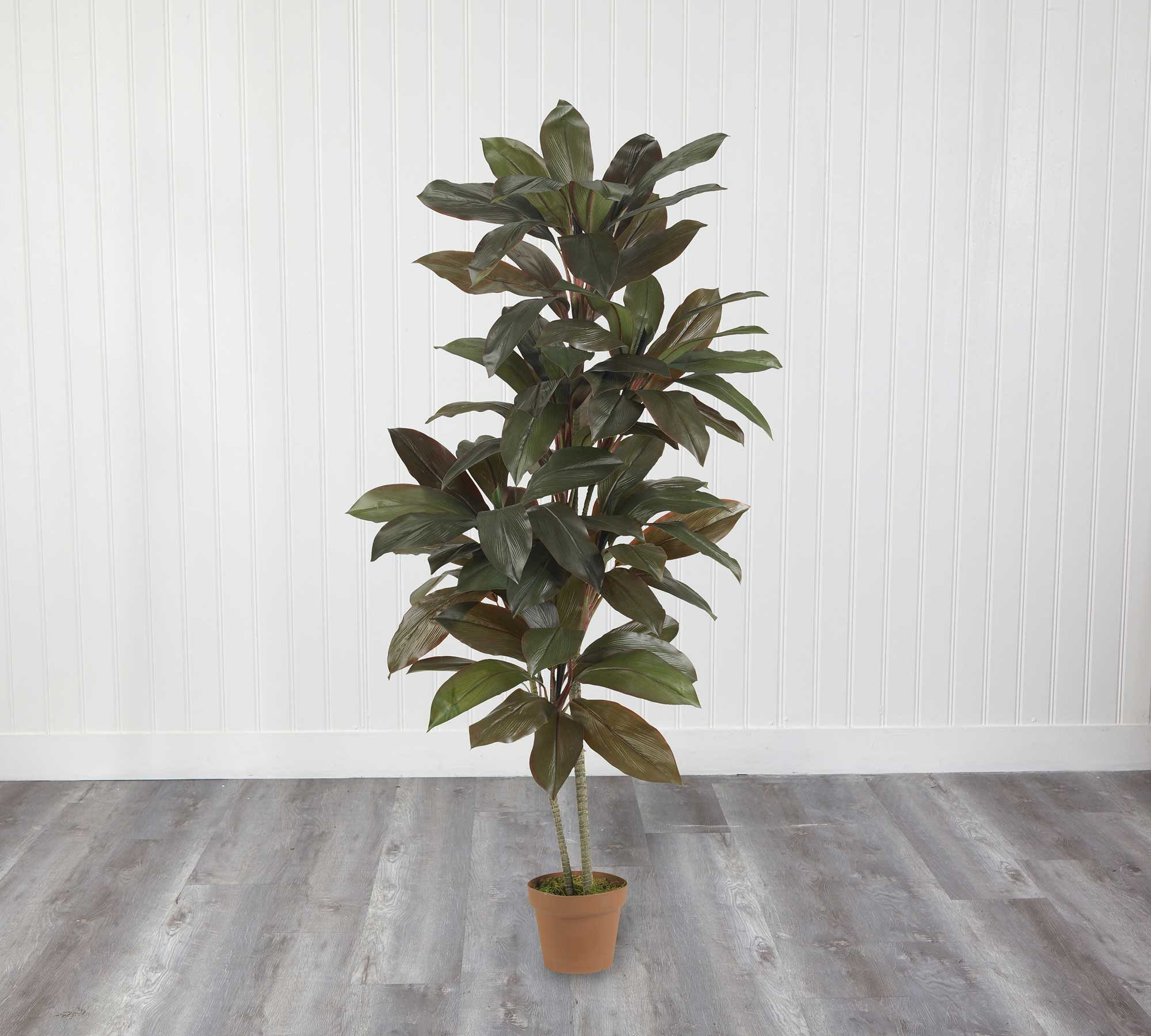 Faux Potted Cordyline Plant