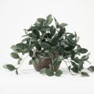 Studio McGee Plant