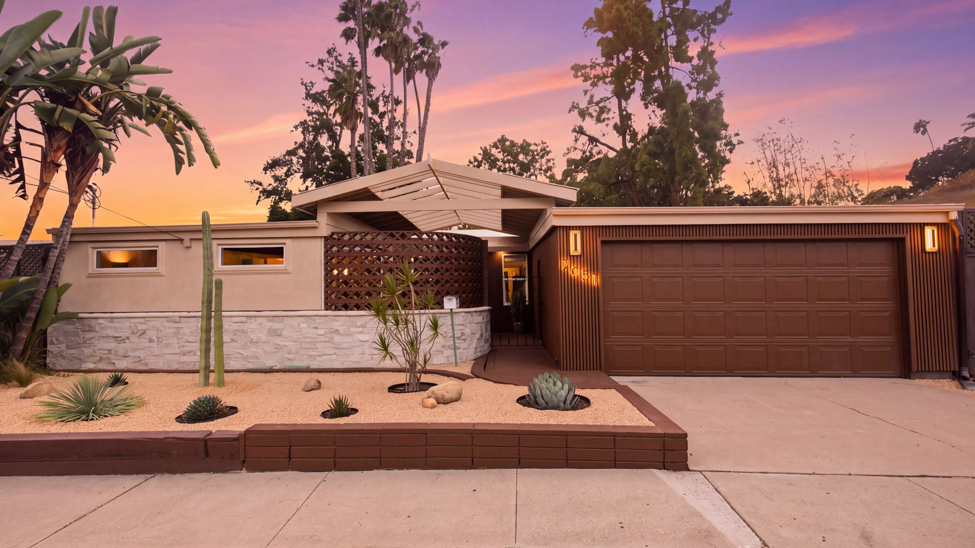 Mid-Century Macaw Lane