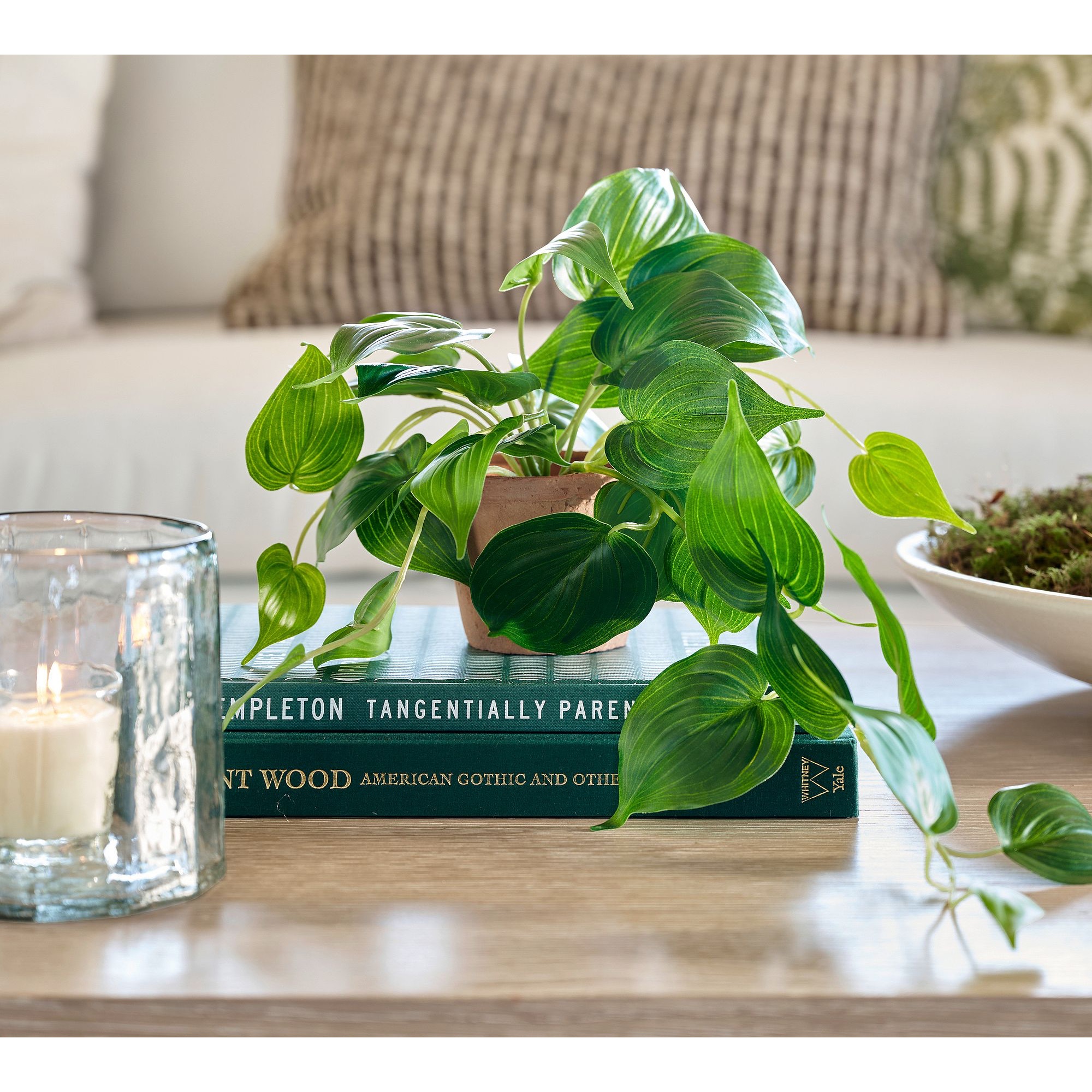 Faux Potted Trailing Houseplant