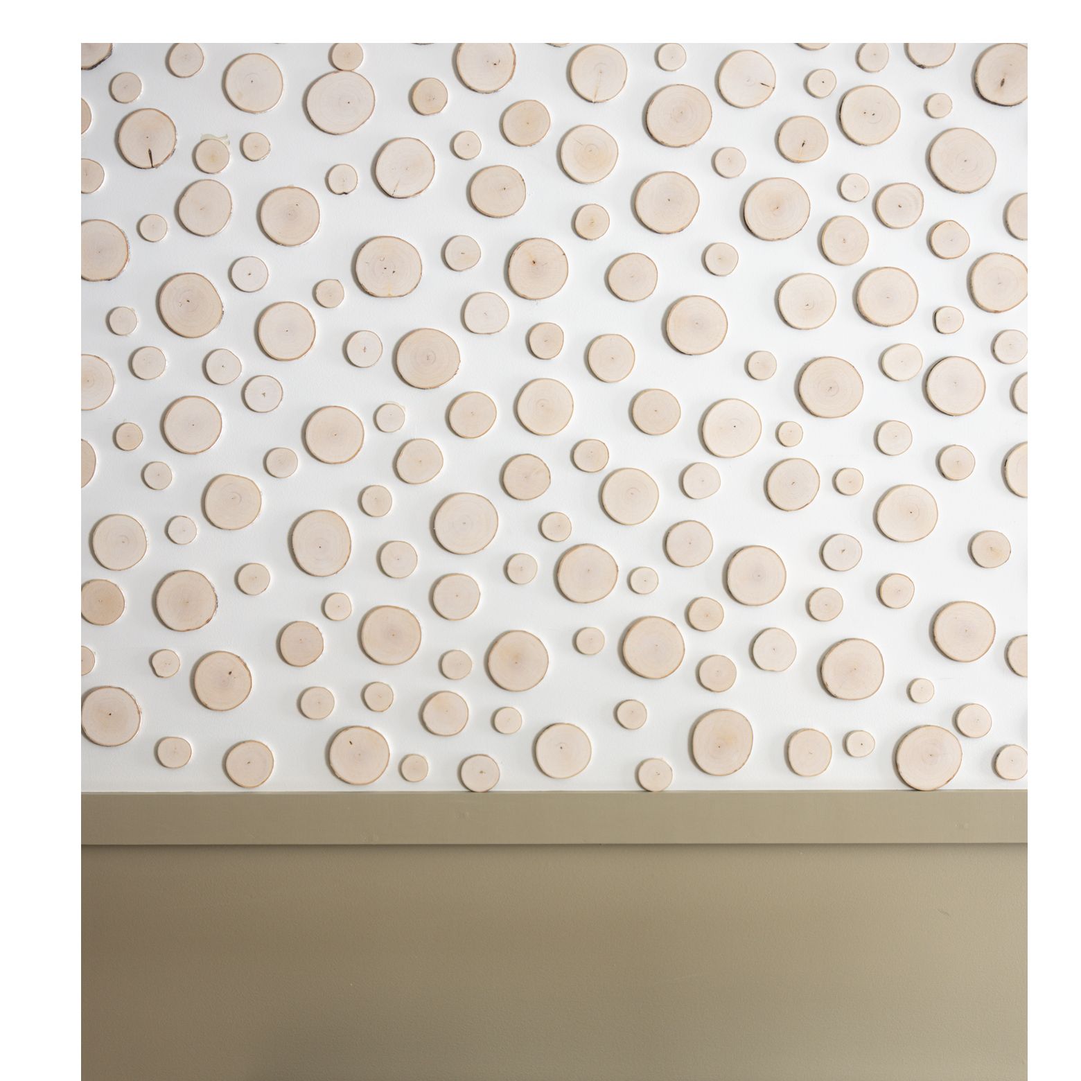 50 Birch Wood Slices 275 35
