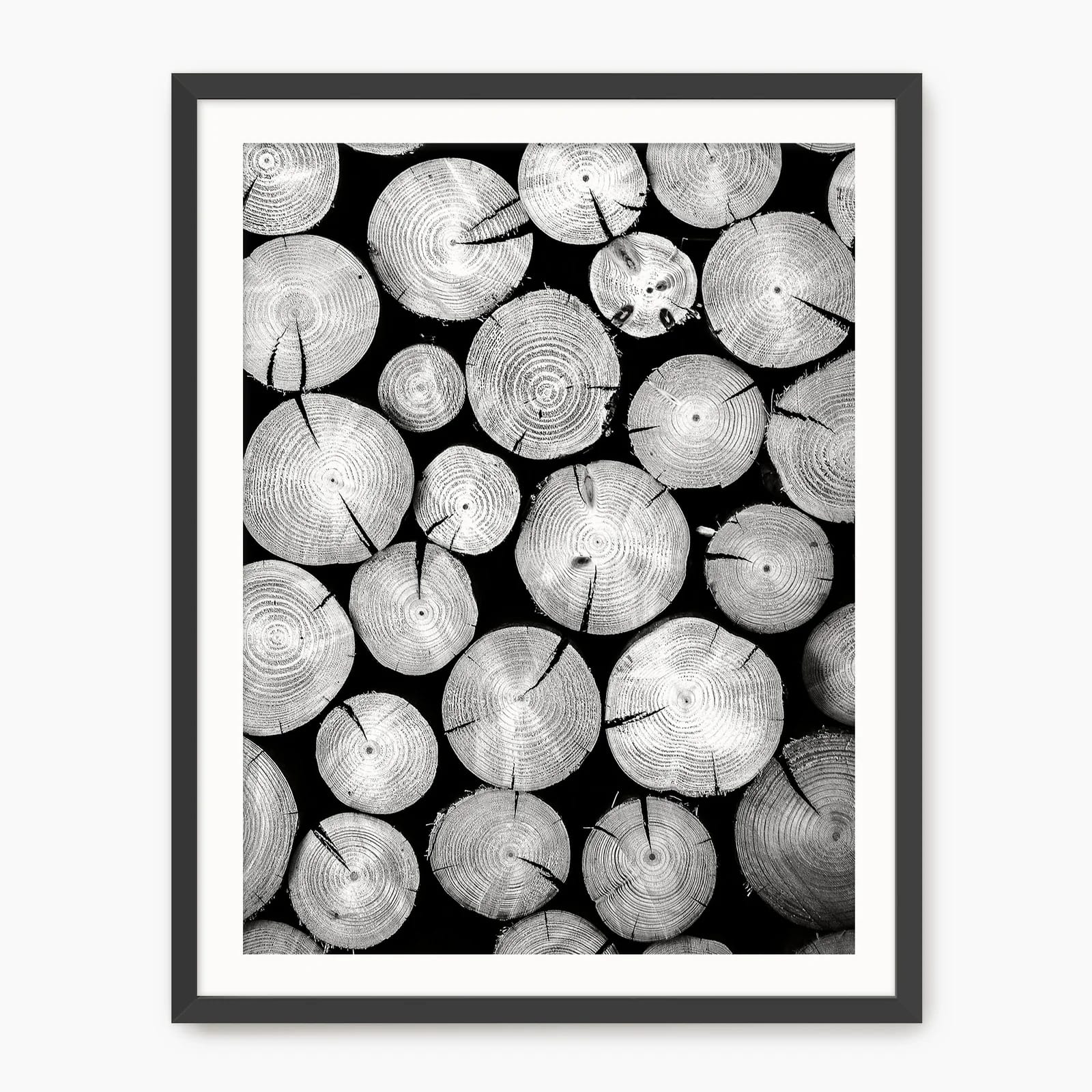 Black And White Cut Logs Photo