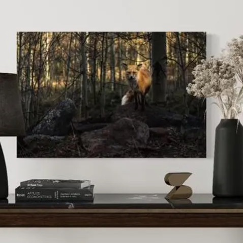 Mama Fox In The Woods Photo Wall Art