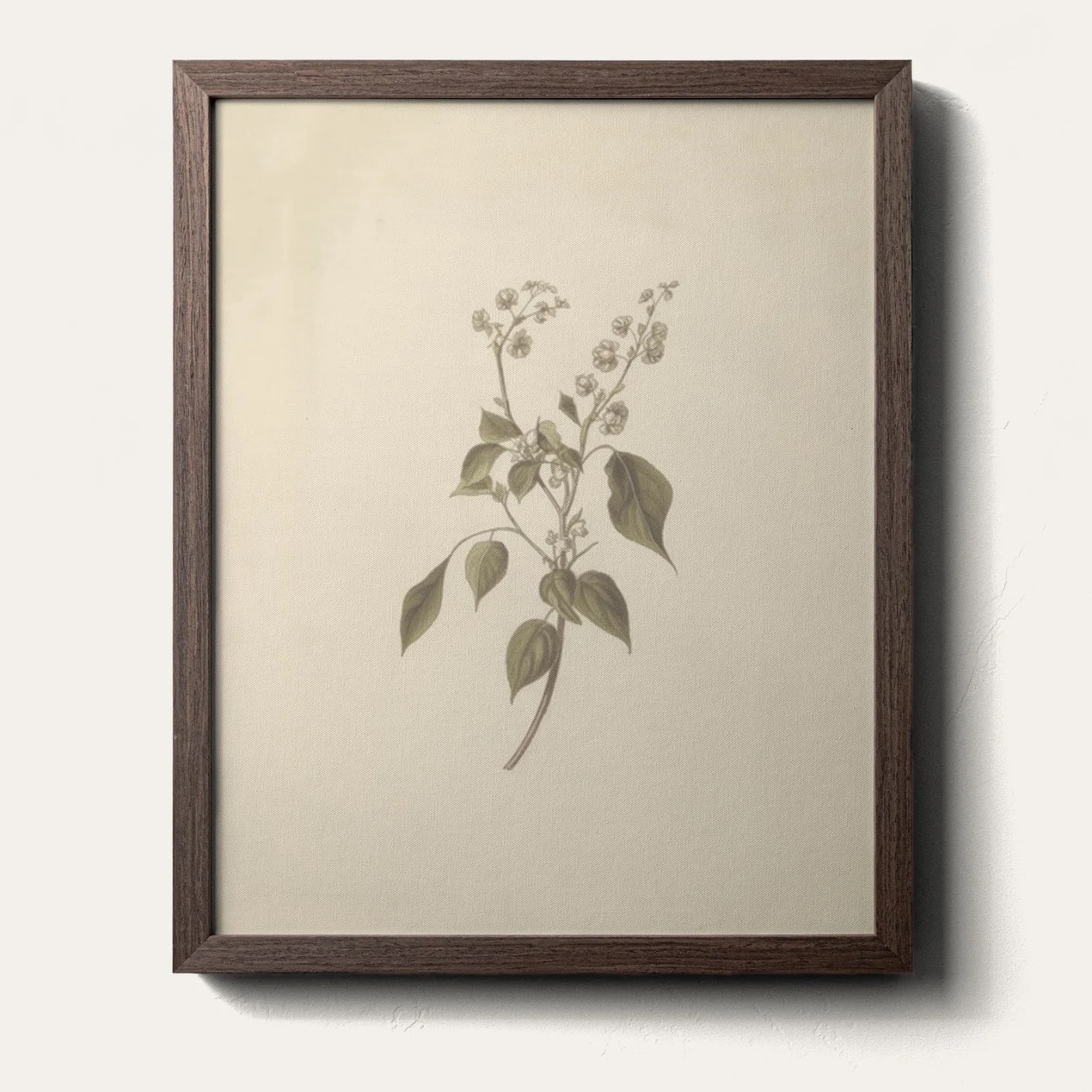 Framed Canvas Botanical Painting Art
