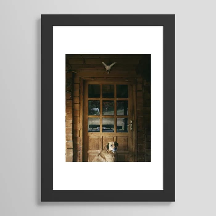 Dog in Cabin Art Print