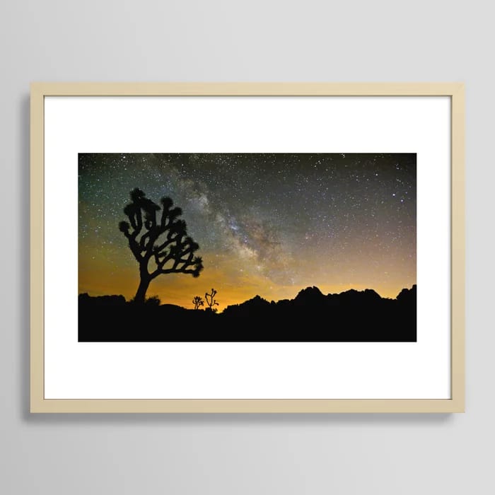 Joshua Tree & Milky Way 7/16/14 Framed Art Print