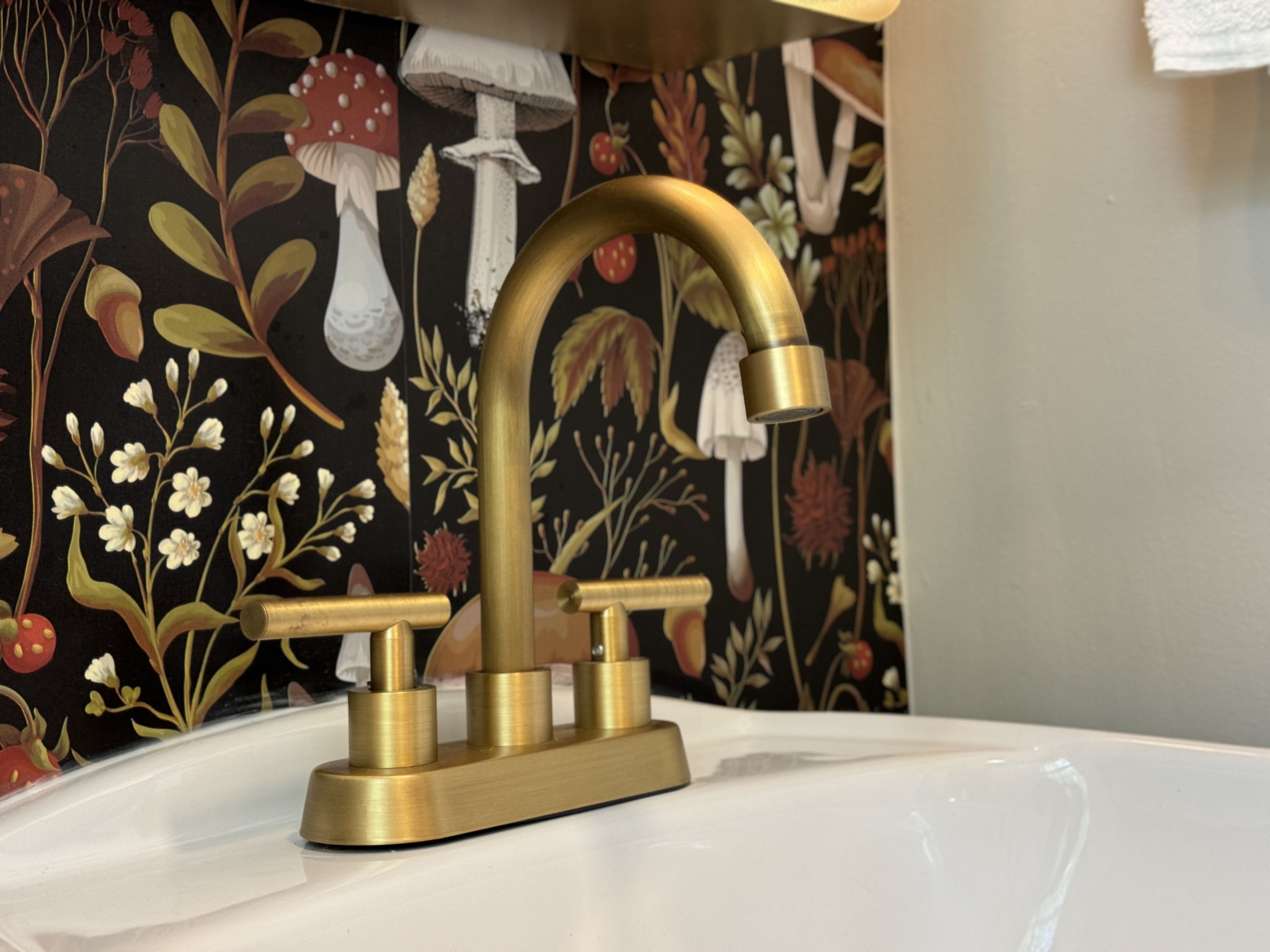 Plumbing Fixtures
