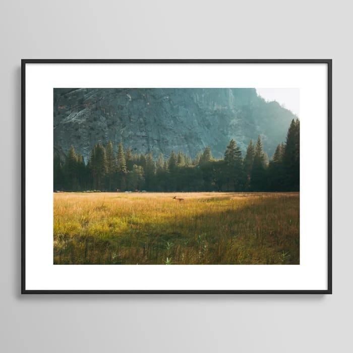 Meadow Sunset in Yosemite Framed Art Print