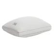 Sealy Pillows 2 pack-Costco