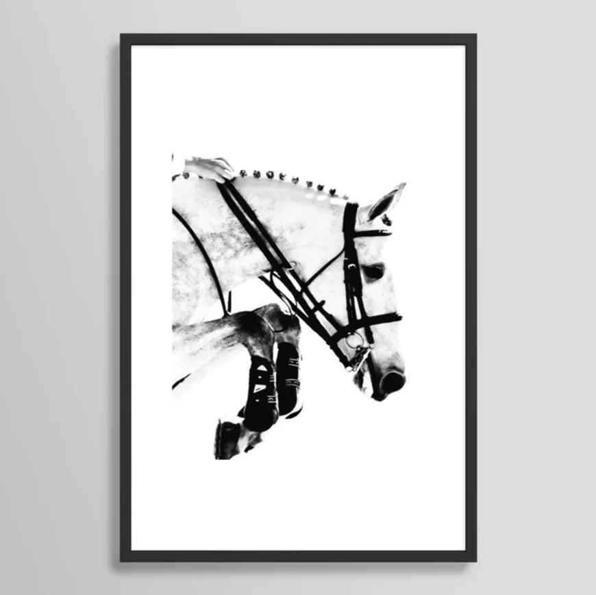 Horse Jumping Art Print