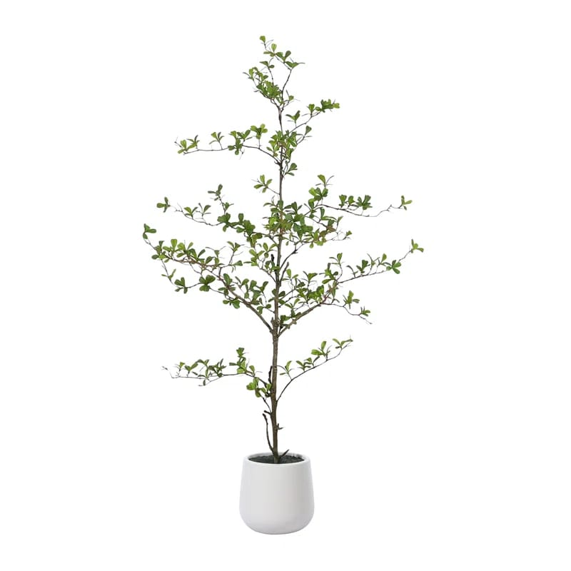 Adcock Artificial Black Olive Tree in White Pot, Tall Faux Shady Lady Tree for Indoor Home Decor