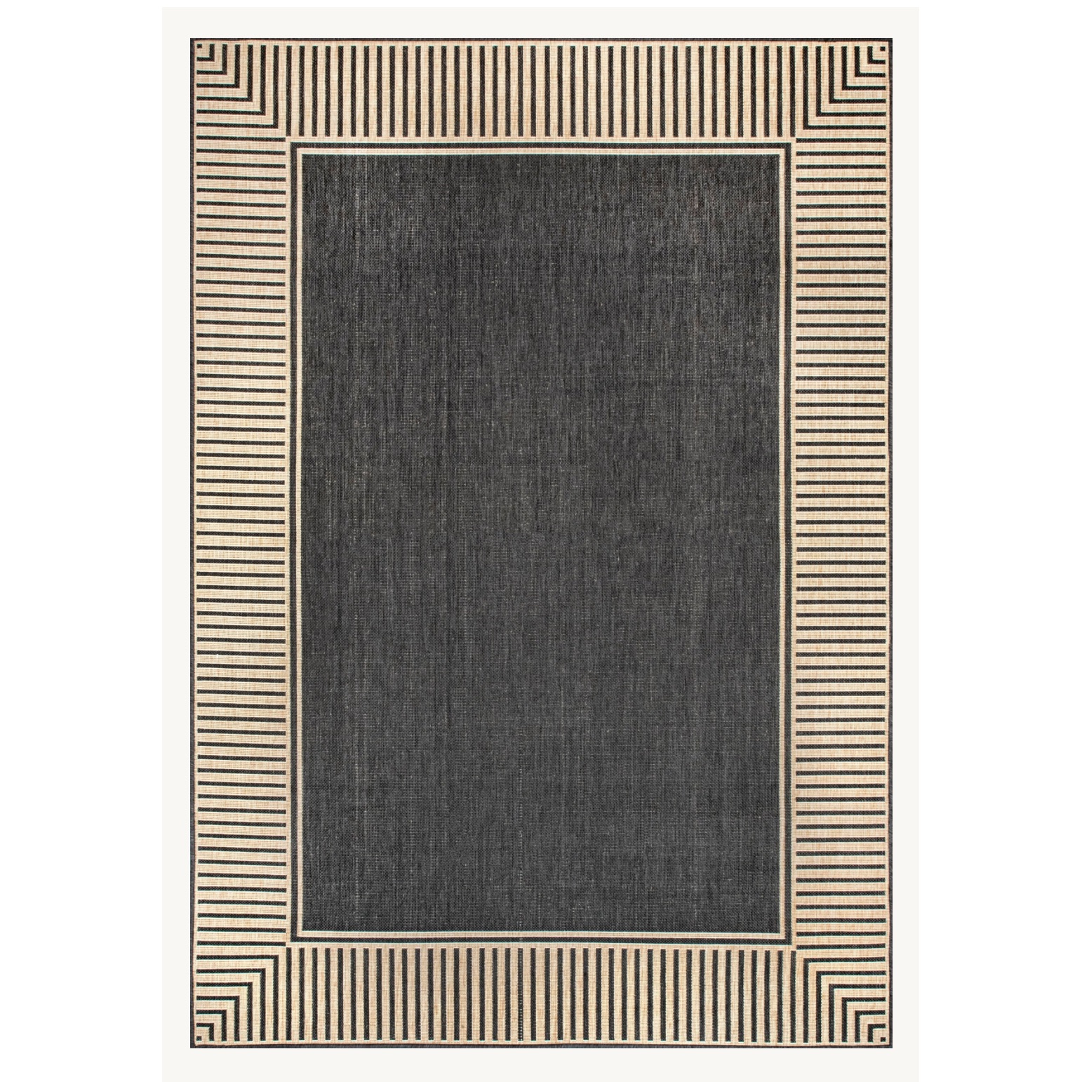 Striped Border Indoor/Outdoor Flatweave Rug 