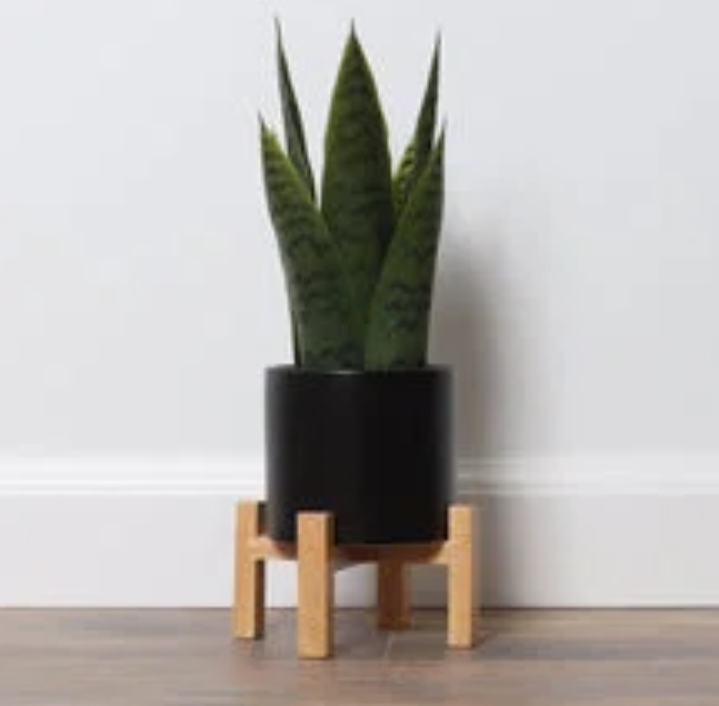 Bornbridge 16'' Faux Snake Plant (Sansevieria) Plant in Planter
