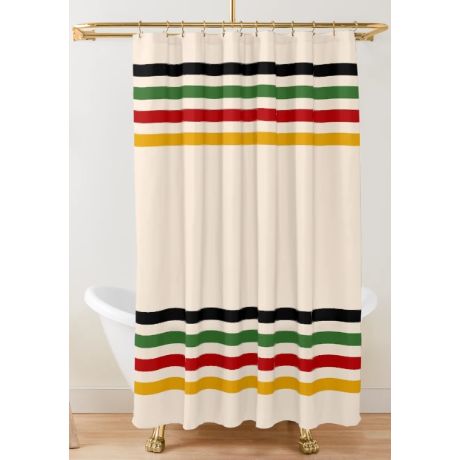 Trading Spaces Shower Curtain