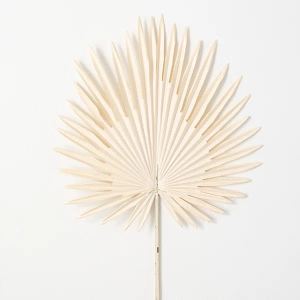 Lissa Palm Arrangement