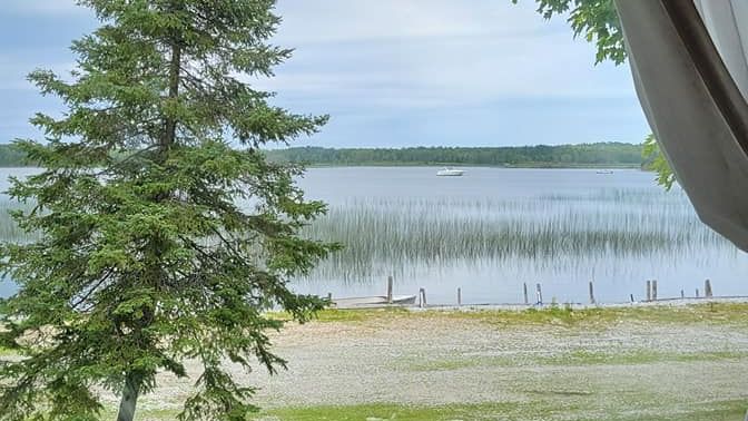 Cabin 1