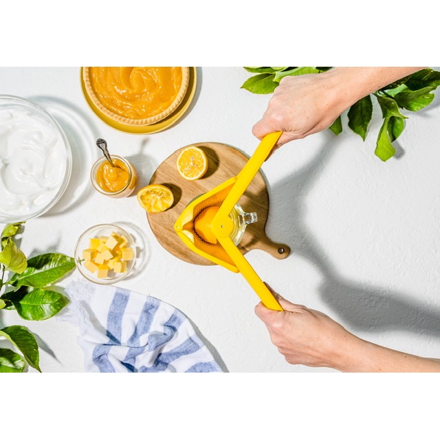 Fluicer - The Fold Flat Juicer