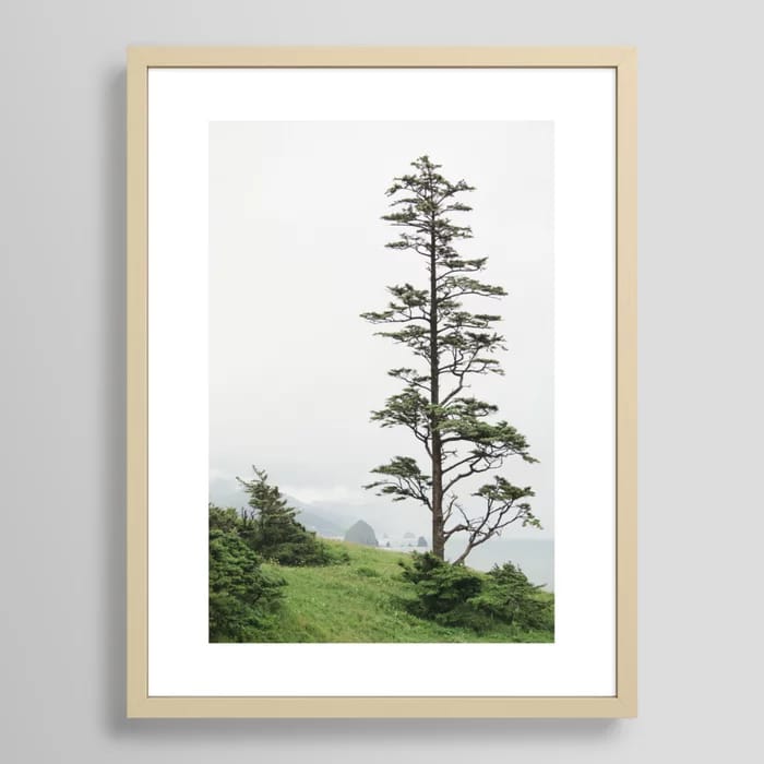 Oregon Coast #2 - Nature, Landscape Photography Art Print