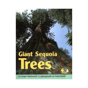 Sequoia Book