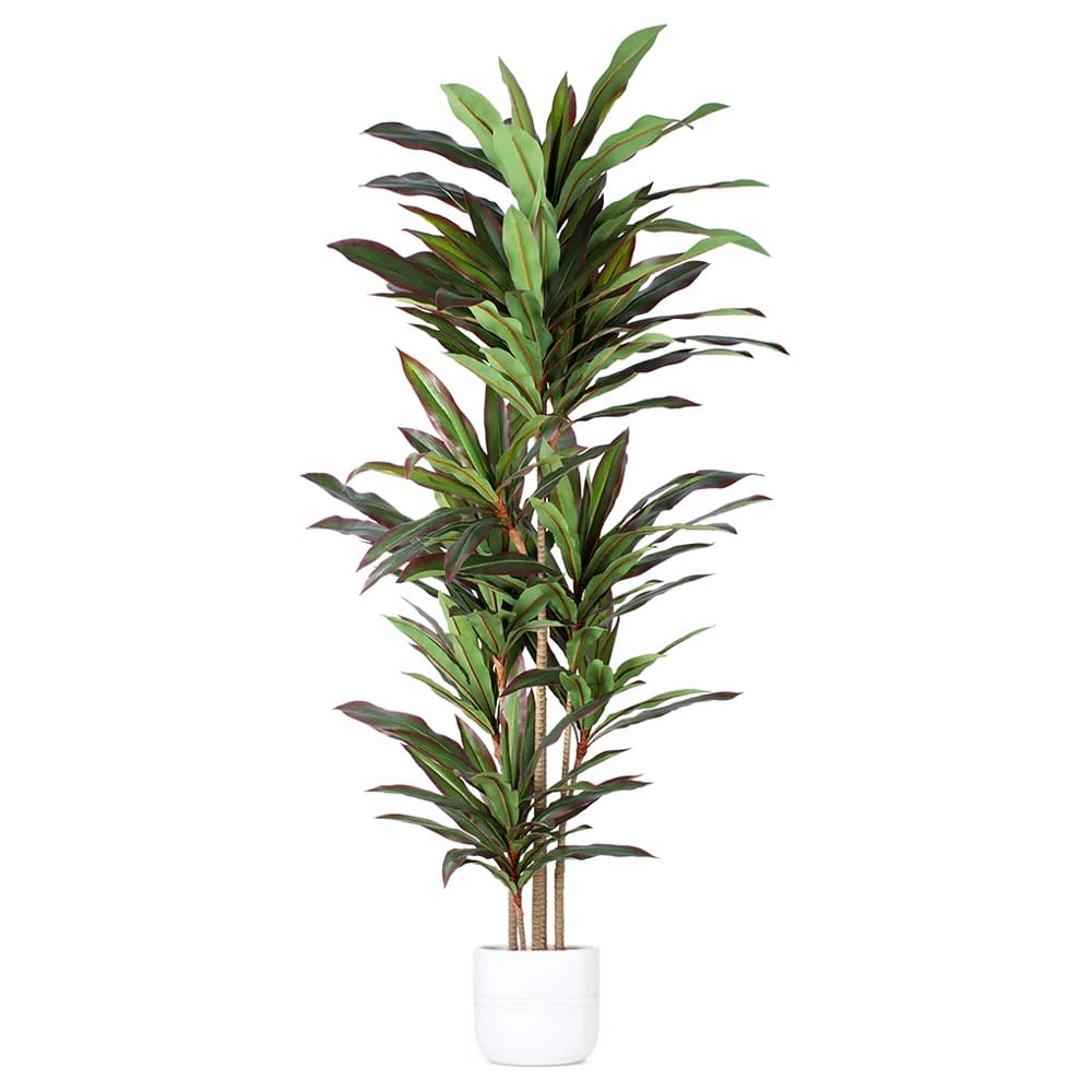 Faux Dracaena Tree In Plastic Pot Indoor Outdoor Decor