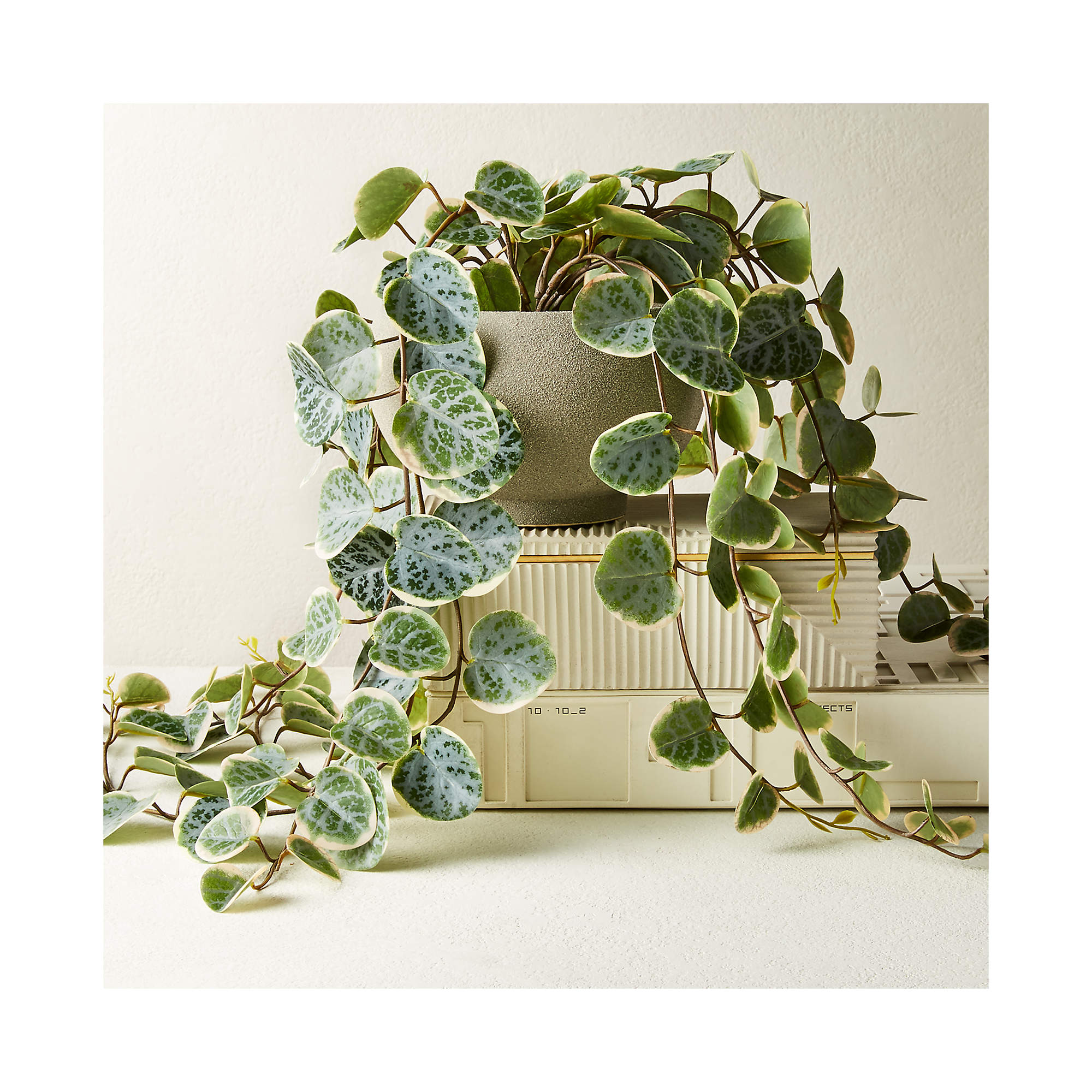 Potted Faux Eucalyptus 8"