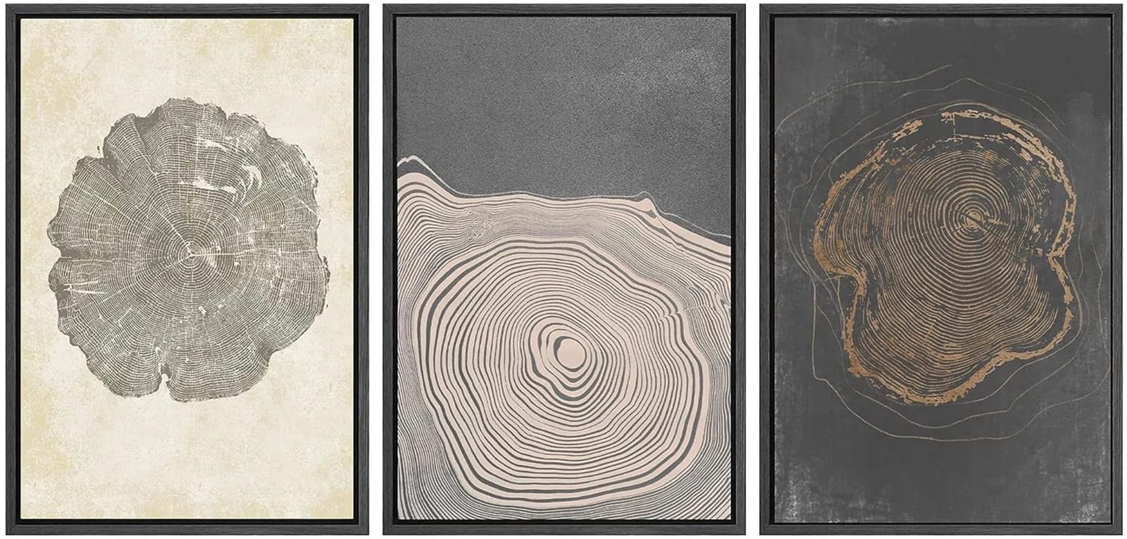 Pastel Gray Wood Tree Ring Neutral Minimalist Pictures Framed Canvas 3 Pieces Set Print Wall Art