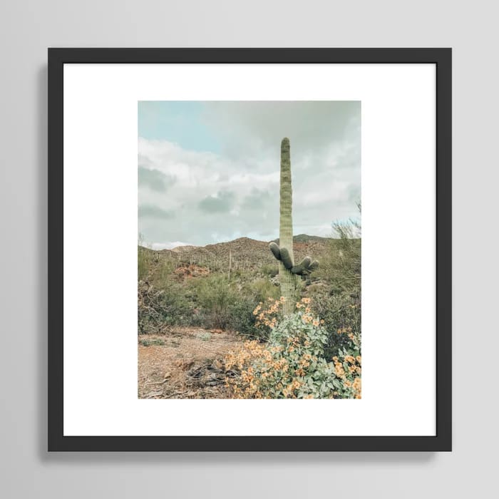 Saguaro National Park, Tuscon Arizona Framed Art Print