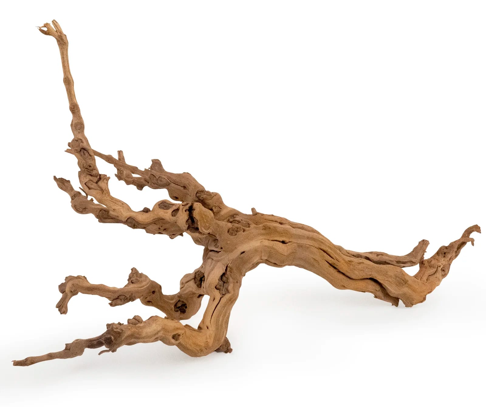 Aquilar Landscape & Nature Figurines & Sculptures