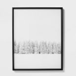 Winter Trees