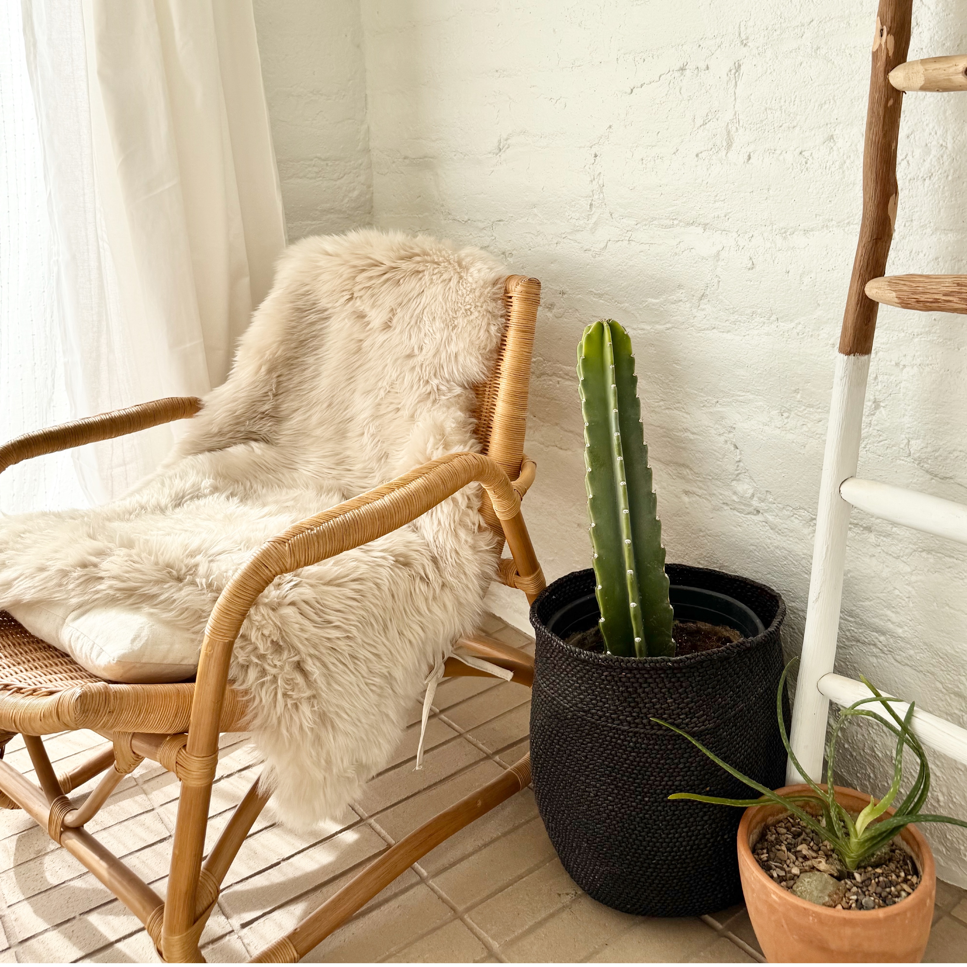 Bodega Wicker Lounge Chair